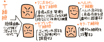 赤血球