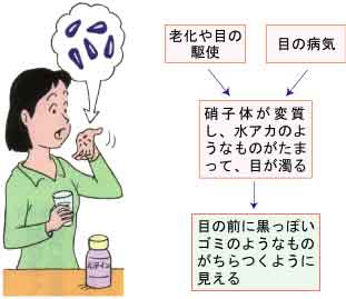 サプリメントで対応