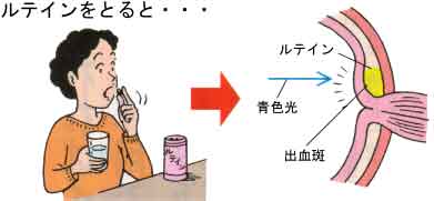 サプリメントを摂取
